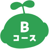 Bコース