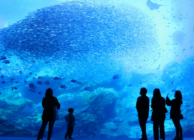 参加協力店：仙台うみの杜水族館